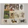 Image 1 : Animals - Dogs 45+ Postcards