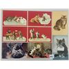 Image 1 : Animals - Tuck Cat Postcards 35