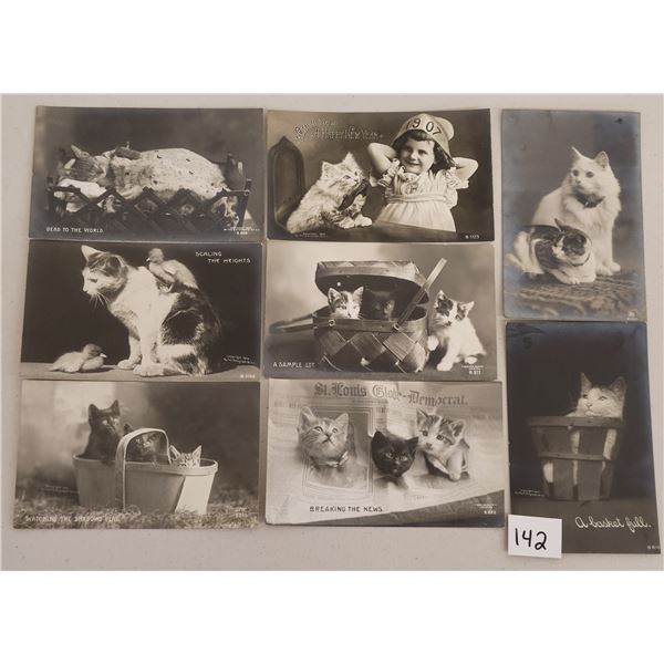 Animals - Real Photo Rotograph Cat Postcards 26