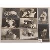 Image 1 : Animals - Real Photo Rotograph Cat Postcards 26