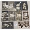 Image 2 : Animals - Real Photo Rotograph Cat Postcards 26