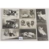 Image 3 : Animals - Real Photo Rotograph Cat Postcards 26