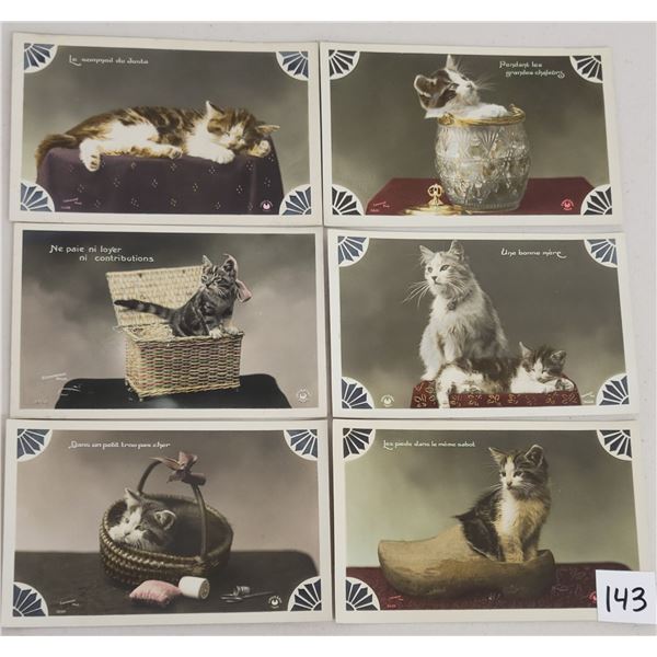 Animals - French Tinted Photo Cats & Kitten Postcards 11