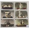 Image 1 : Animals - French Tinted Photo Cats & Kitten Postcards 11