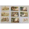 Image 1 : Animals - Pigs on Greetings Album Approx. 85 Postcards