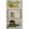 Image 3 : Insects on Greeting Postcards 45+
