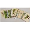 Image 4 : Insects on Greeting Postcards 45+