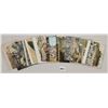 Image 4 : Coney Island, New York Amusement Park Postcards 25
