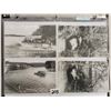 Image 6 : Real Photo Wisconsin Dells Album 30 Postcards