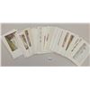 Image 3 : Detroit Publishing Private Mailing Postcards 60