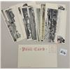 Image 3 : Arthur Livingston New Jersey Postcards 12