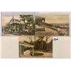 Image 3 : Hand Colored New York Postcards Approx. 240