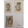 Image 7 : Ephemera - Trade Card Album 200+