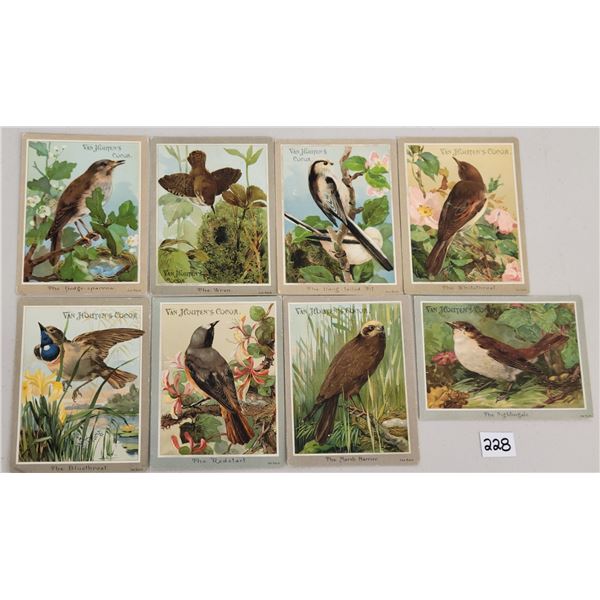 Van Houten's Cocoa Bird Trade Cards 16