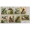 Image 1 : Van Houten's Cocoa Bird Trade Cards 16