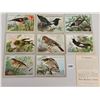 Image 2 : Van Houten's Cocoa Bird Trade Cards 16