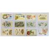 Image 4 : Greetings with Hands Postcard Album 80+