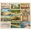 Image 2 : Florida Sorted Postcards Approx. 165