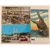 Image 3 : Florida Sorted Postcards Approx. 165