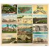 Image 2 : Florida Sorted Postcards Approx. 285