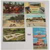 Image 3 : Florida Sorted Postcards 120+