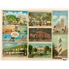 Image 3 : Florida Sorted Postcards 350+
