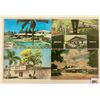 Image 1 : Sarasota - Lido Beach, Florida Postcards 90+