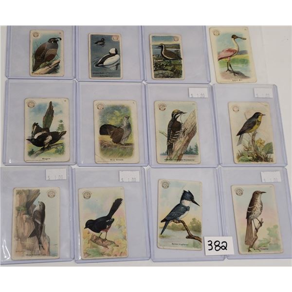 "New Series of Birds" Trade Cards 35+