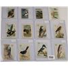 Image 1 : "New Series of Birds" Trade Cards 35+
