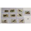 Image 3 : "New Series of Birds" Trade Cards 35+