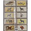 Image 5 : Animals - Dogs Cigarette Card Album 360+
