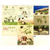 Image 2 : Greetings with Insects Postcards 24