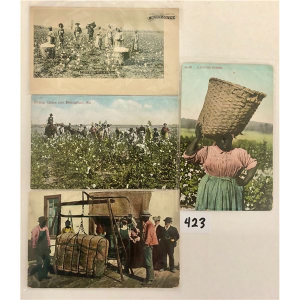Black Americana & Cotton Postcards Approx. 35