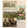Image 1 : Black Americana & Cotton Postcards Approx. 35