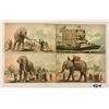 Image 2 : Ephemera - Elephant Trade Cards 8