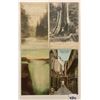 Image 3 : Canada Postcards 100+