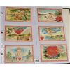 Image 7 : Valentine's Day Holiday Greeting Postcard Album Approx. 230