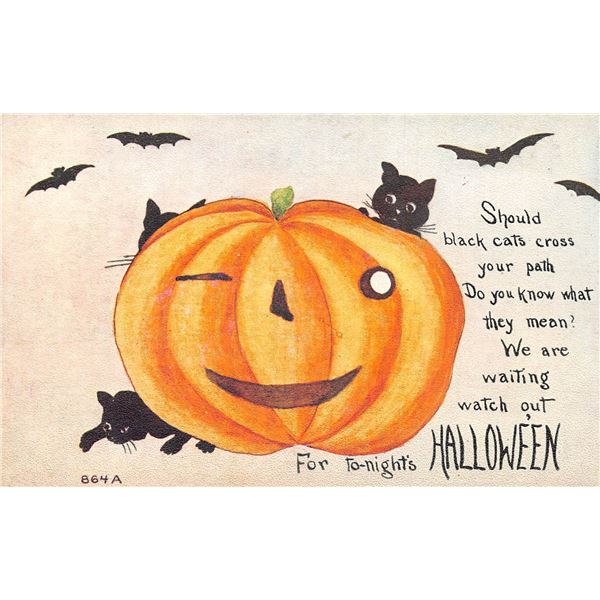 Jack-O-Lantern Black Cats & Bats Halloween Holiday Greeting Postcard