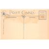 Image 2 : Halloween Jack - O - Lantern & Bats Holiday Greeting Postcard