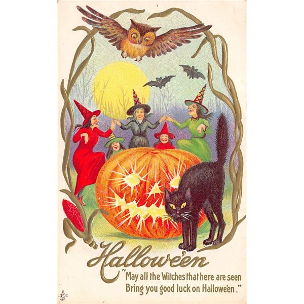 Halloween Witches Around Pumpkin & Black Cat Holiday Greeting PC