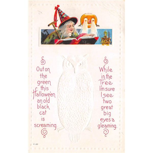 Witch & JOL with Owl Halloween Holiday Greeting Postcard