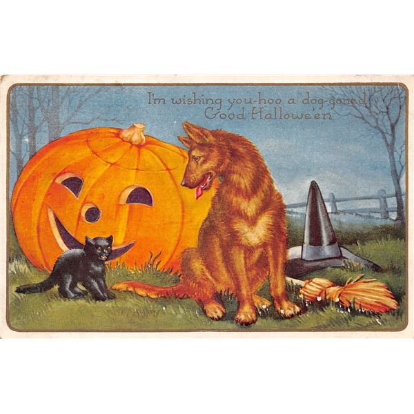 Whitney Cat & Dog with Jack-O-Lantern Halloween Holiday Postcard