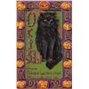 Image 1 : Oct. 31 Black Cat on Green Background with Pumpkin Border PC Halloween