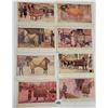 Image 1 : Advertising 5A Horse Blanket Postcards 8