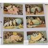 Image 1 : Animals - Cats Holidays & Greeting Album 155+ Postcards