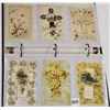 Image 1 : Winsch Easter Holiday Greeting Postcard Album Approx. 120