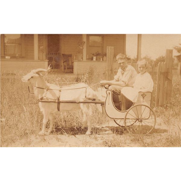 Real Photo of Children in Goat Pulled Wagon Postcard