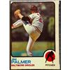 Image 1 : 1973 O-PEE-CHEE JIM PALMER (HOF)