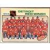 Image 1 : 1975-76 NHL TOPPS DETROIT RED WINGS