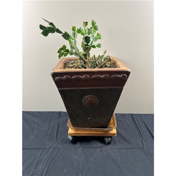 Ornate Planter & Cart